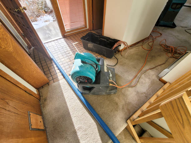 Best 24/7 water damage repair  in Gold River, CA