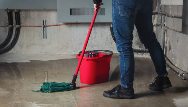 Best Water damage restoration company  in Gold River, CA
