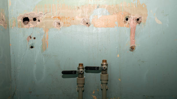  Gold River, CA Water damage restoration Pros