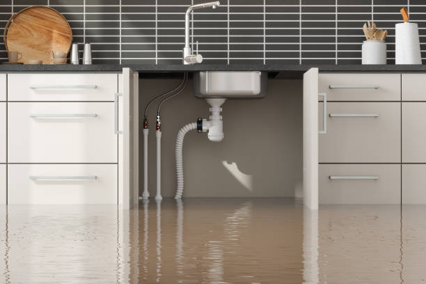 Best Water damage repair service  in Gold River, CA