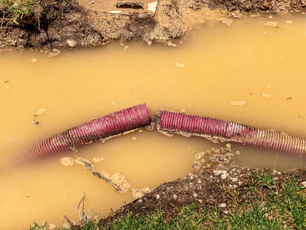 Best Carpet water damage restoration  in Gold River, CA